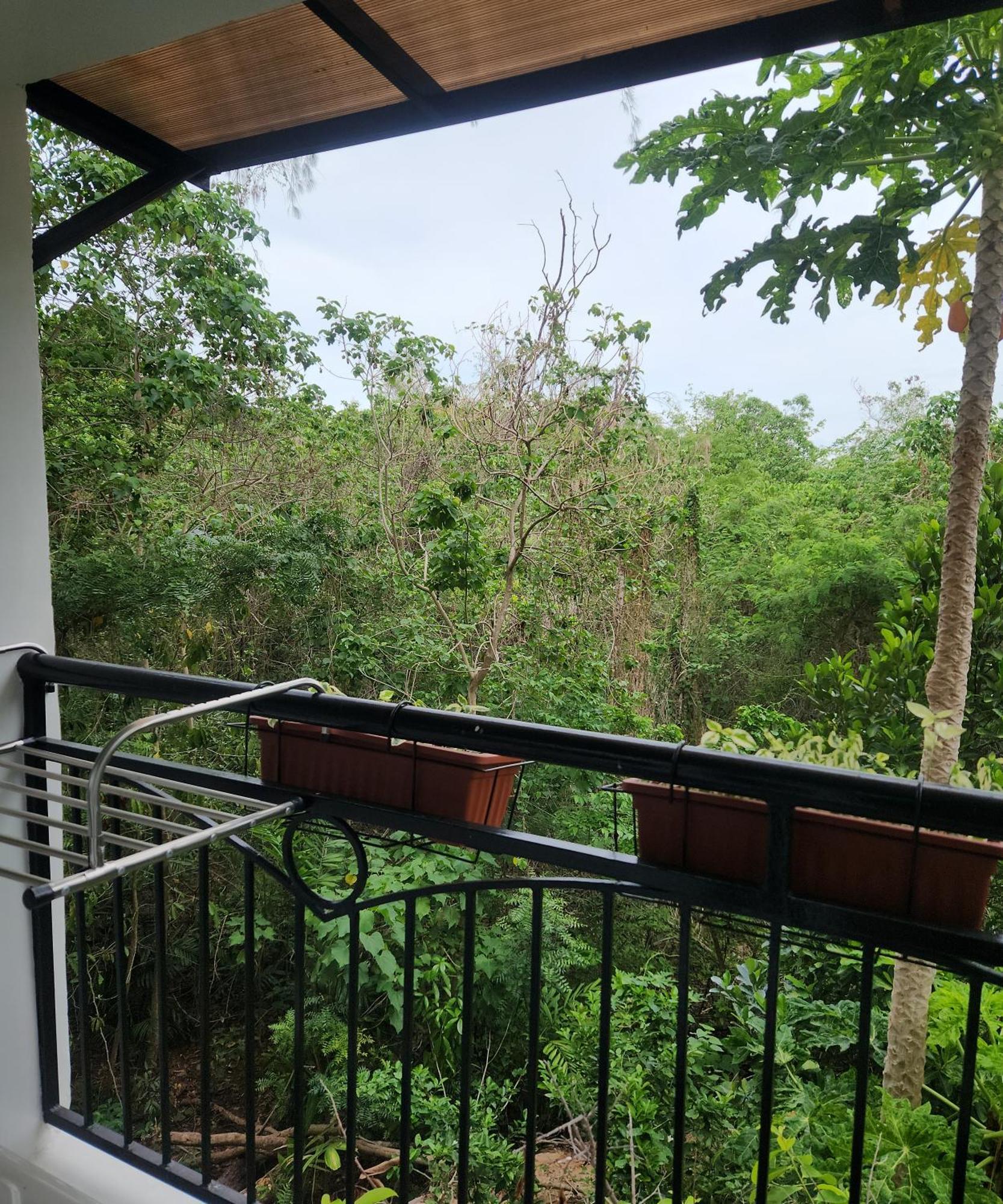 Condo Azur Suites B316 Near Airport, Netflix, Stylish, Cozy With Swimming Pool 麦克坦 外观 照片